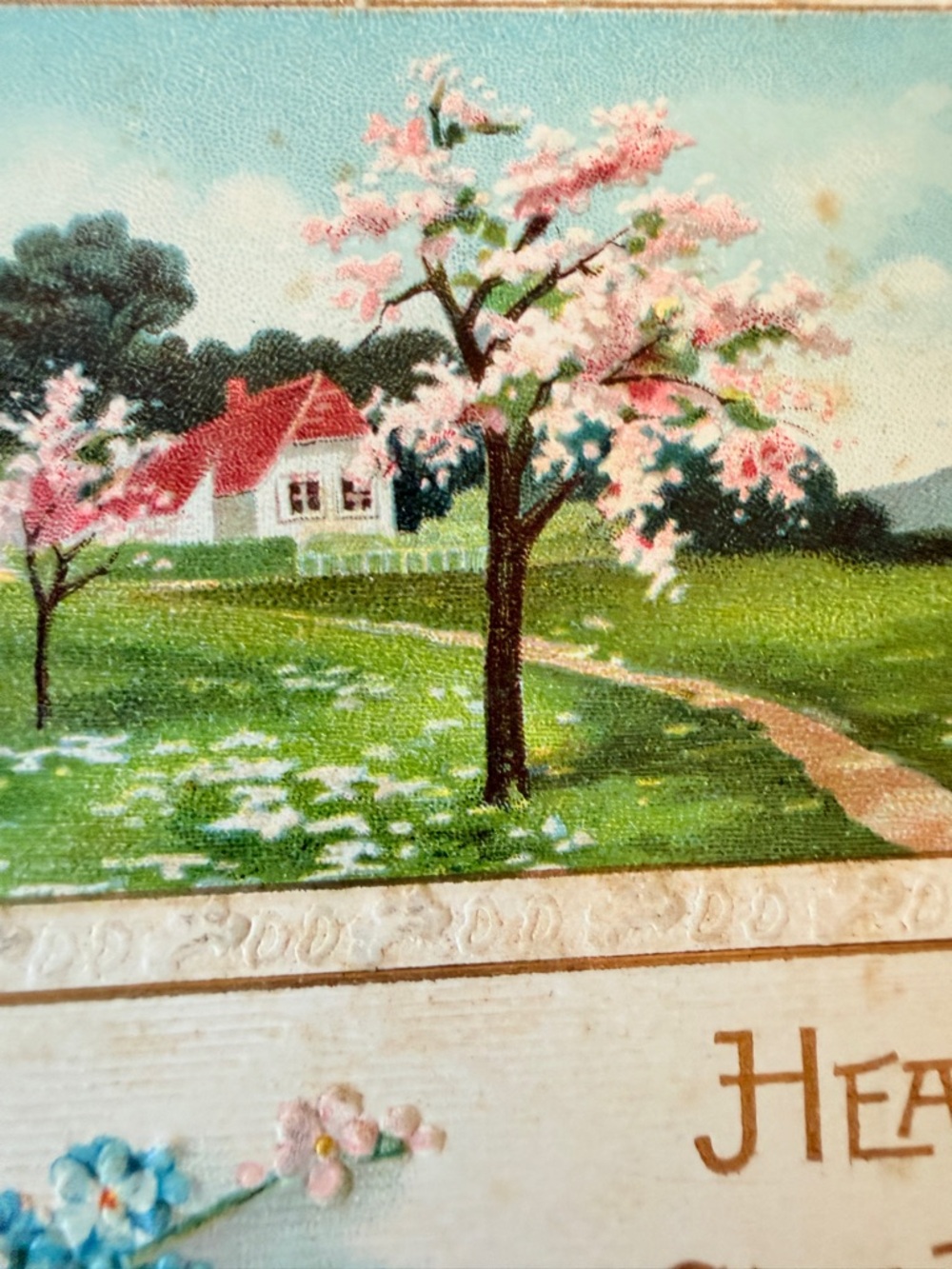 Antique Floral Greeting Card Box with 16 Antique Post Cards 1909-1911 - Picture 8 of 17